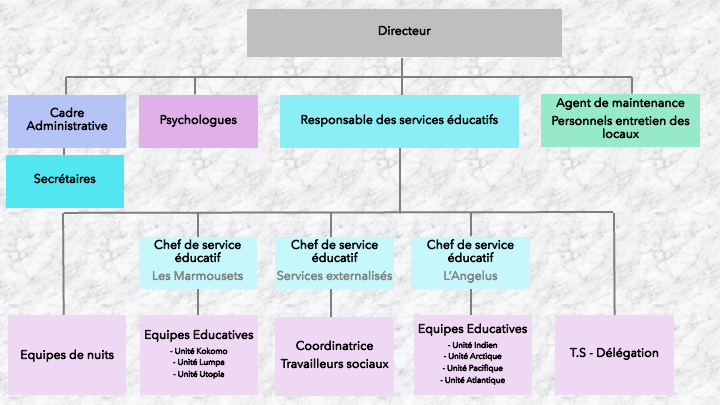 Organigramme de l'association